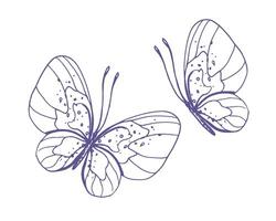 Delicate butterflies with patterns on the wings, simple, sweet, light, romantic. Illustration graphically hand-drawn in lilac ink in line style. Set of isolated EPS vector objects