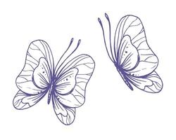 delicado mariposas con patrones en el alas, simple, dulce, luz, romántico. ilustración gráficamente dibujado a mano en lila tinta en línea estilo. conjunto de aislado eps vector objetos