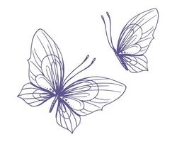 delicado mariposas con patrones en el alas, simple, dulce, luz, romántico. ilustración gráficamente dibujado a mano en lila tinta en línea estilo. conjunto de aislado eps vector objetos