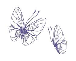 Delicate butterflies with patterns on the wings, simple, sweet, light, romantic. Illustration graphically hand-drawn in lilac ink in line style. Set of isolated EPS vector objects