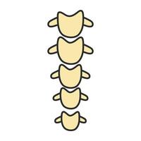 diseño vectorial de la columna vertebral vector