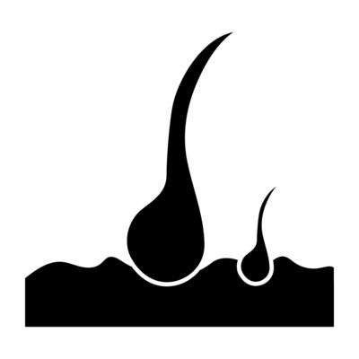 A unique design icon of follicle