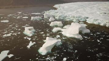 icebergs flotante en agua video