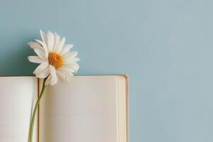 AI generated Open empty book with white flower on a blue background with copy space. World Book Day Banner photo