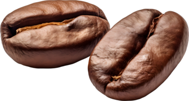 AI generated Two roasted coffee bean, PNG
