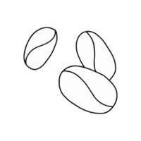 Simple Hand-Drawn Doodle of Three Coffee Beans on a White Background vector