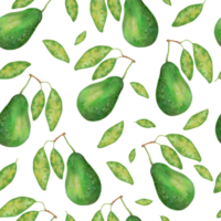 Fruit seamless pattern of avocado with leaves. Botanical texture for eco and healthy food for printing on fabric, paper. Watercolor and marker illustration.Hand drawn art. png