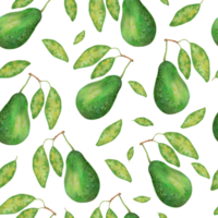 Fruta sin costura modelo de aguacate con hojas. botánico textura para eco y sano comida para impresión en tela, papel. acuarela y marcador ilustracion.mano dibujado Arte. png