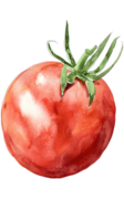 ai gerado aguarela tomate grampo arte png