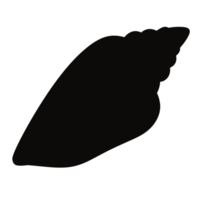 illustration av ett mussla png