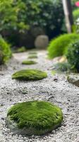 ai generado redondo cubierto de musgo piedras en un tranquilo jardín foto