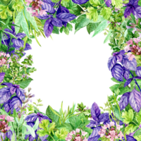 vattenfärg fyrkant ram med trädgård örter och årgång plattor i en rustik stil. illustration med färsk, kök örter. salvia, persilja, sallad, dill, rosmarin och Övrig friska organisk örter. png