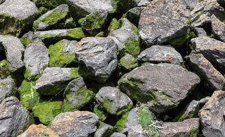 Big stones in the beach photo