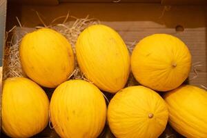 Juicy beautiful yellow melon lies in a cardboard box on the shelves of the store. photo