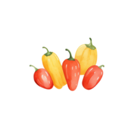 ai généré Chili main tiré aquarelle png