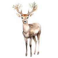 AI generated Deer forest animals Watercolor illustration png