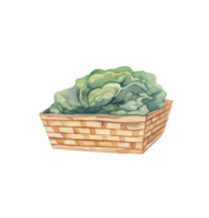 ai generado vegetal cesta acuarela png