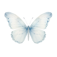 AI generated Watercolor Blue Butterfly vintage png