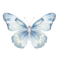 ai generiert Aquarell Schmetterling Frühling png