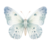 ai généré aquarelle papillon isolé png