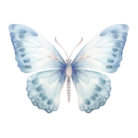 AI generated Watercolor Blue Butterfly vintage png