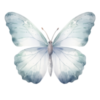 Boho Watercolor Butterfly png