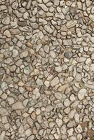 Pebble stone floor tile seamless background. Cement mixed gravel pebble stone floor texture. Wet round pebble stone rock floor in dramatic lighting. photo