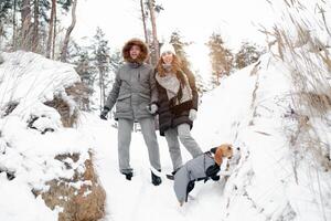 A young couple, a man and a woman are walking with their dog in the winter snow-covered forest. Winter leisure. Dog lovers photo