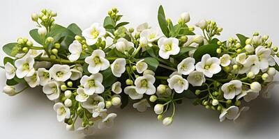 AI generated Pile of Sweet Alyssum Flowers Isolated on White Background. Generative Ai photo