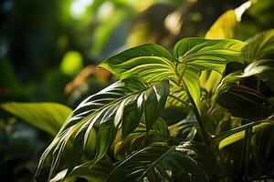 ai generado cerca arriba de tropical plantas en el bosque con dorado luz de sol. generativo ai foto