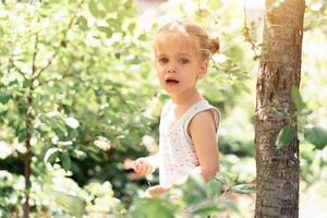 Little Caucasian girl, two years old, gathering unripe cherries in orchard photo