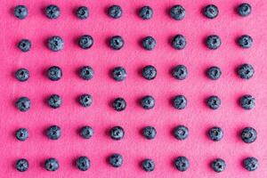 Colorful fruit pattern of blueberries on pink background. Top view. photo