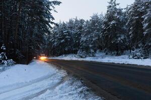 road in a snowy forest photo