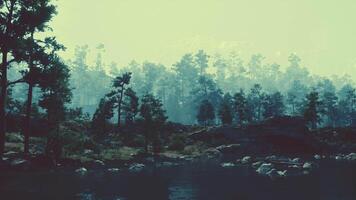 A lake surrounded by trees and rocks video