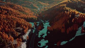 un' panoramico Visualizza di un' strada circondato di alberi video