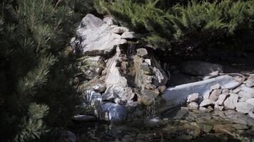 Fountain with lake and stones in the garden video