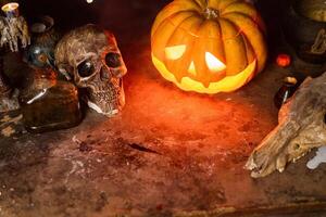 Halloween. Scary Halloween pumpkin with carved face on table in dark room with human skull and animal skull photo