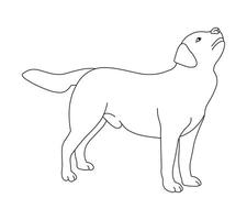 Sketch of dog in pose. Outline of a pet go, standing, running, jumping, training, walking, guarding, posing, play vector