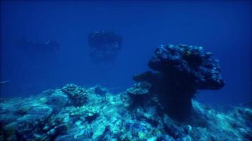 une grand Roche dans le milieu de une corps de l'eau video