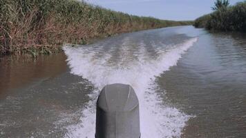 Fast motorboat sail at river. back to wake from powerful watercraft. Waves from the engines of a high-speed boat Green forested banks and grassy water on sides, clear blue sky with small white clouds video