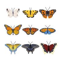 butterfly set cartoon vector illustration