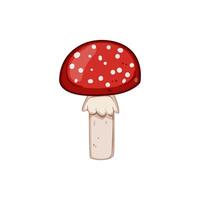 red fly agaric cartoon vector illustration