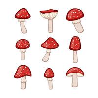 fly agaric set cartoon vector illustration