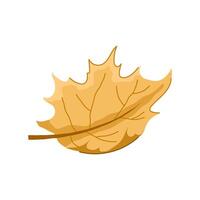 fall maple leaf cartoon vector illustration