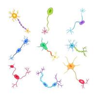 neuronas conjunto dibujos animados vector ilustración