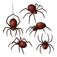 spider set sketch hand drawn vector