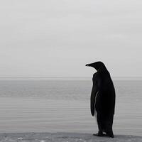 ai generado reflexionando pingüino, adecuado para el frío, solitario contemplación foto