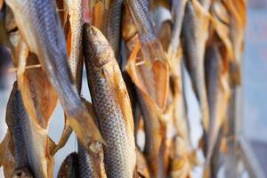 Dried fish hanging rope raw seafood drying salted beer snack photo