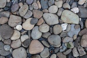 texture of  small sea stones photo