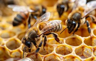 ai generado abejas son trabajando en panal foto